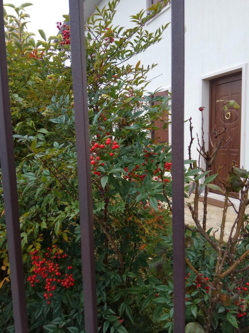 La Siesta Hotel Villafranca di Verona Exterior foto